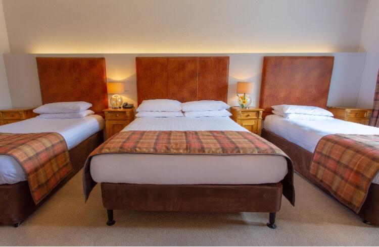 Lydons Lodge Hotel コング エクステリア 写真